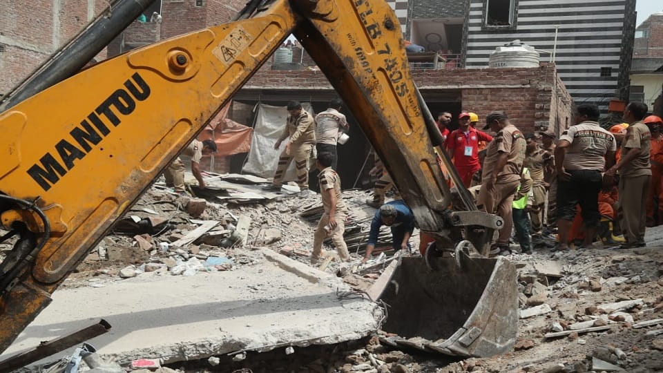 case of collapse of a four-storey building in Dayalpur rats made burrows foundation become hollow