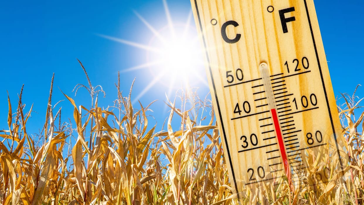 Rajasthan Weather Forecast IMD Heat Wave Alert Sri Ganganagar Churu Aaj ka Mausam News in Hindi