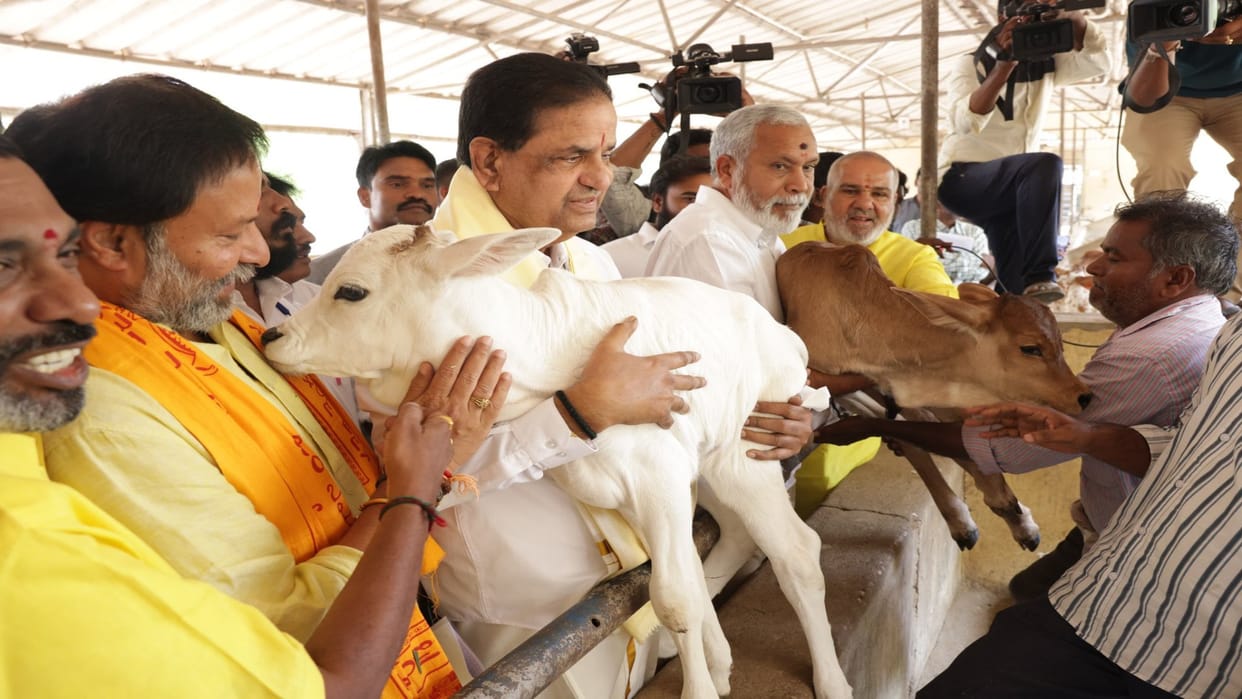 TTD chief seeks ACB probe into temple irregularities amid cow death row News In Hindi