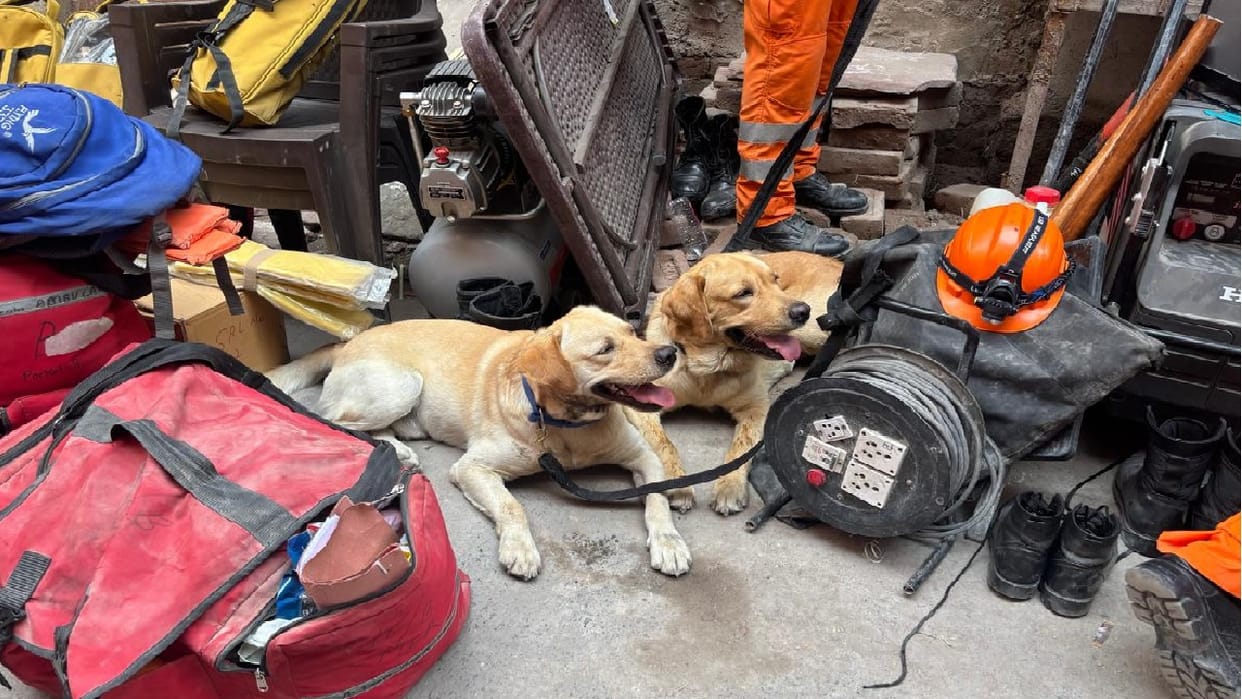 Delhi Building Collapsed Victor and Rambo duo became angels