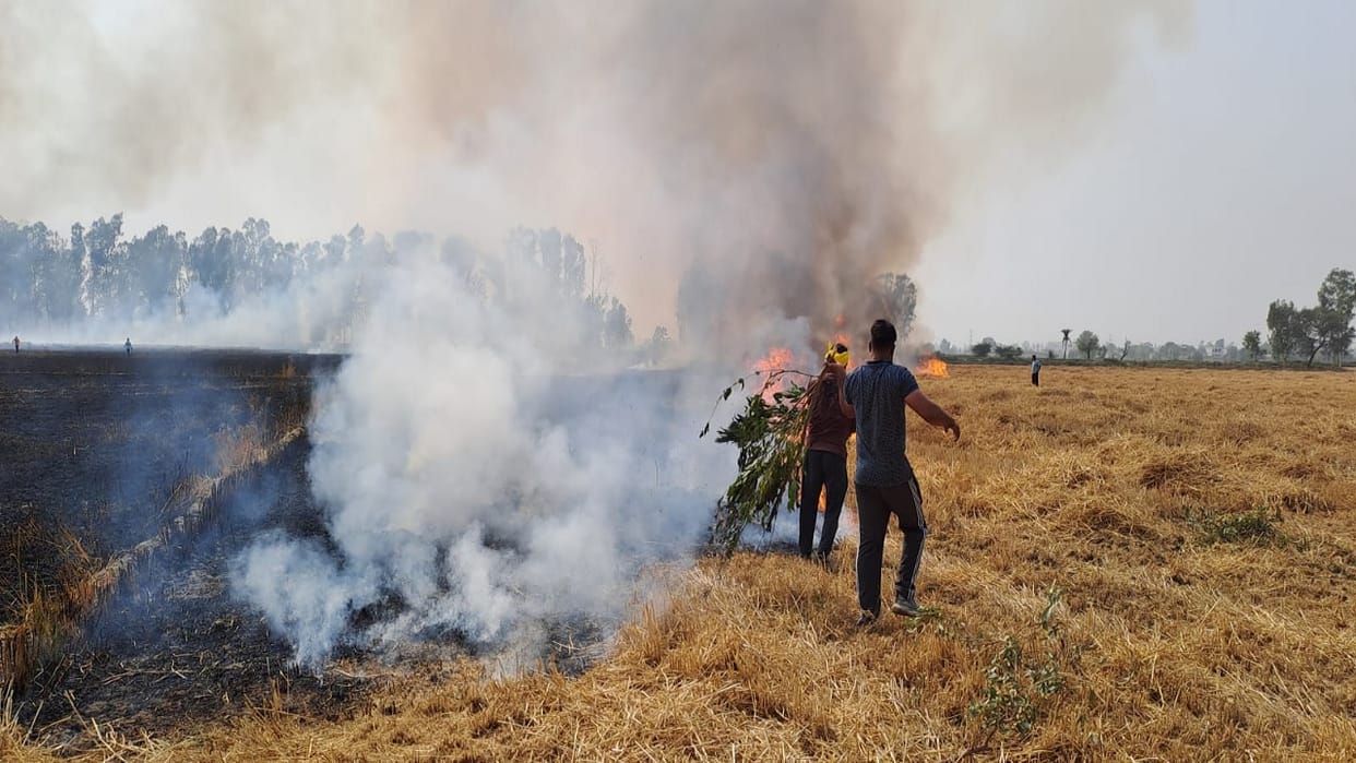 ninety hundred acres of crops burnt in 8 districts of Haryana: Government sought report relaxation in moisture