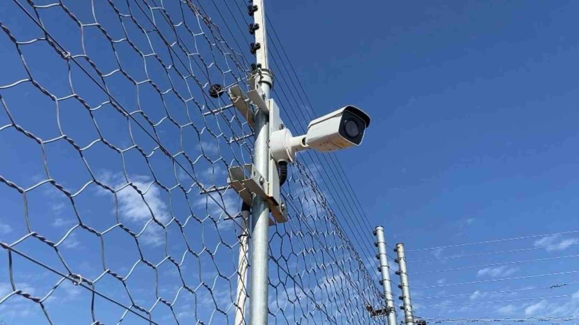 Neemuch News: Arrangements for drinking water and hunting for cheetahs are complete in Gandhisagar Sanctuary