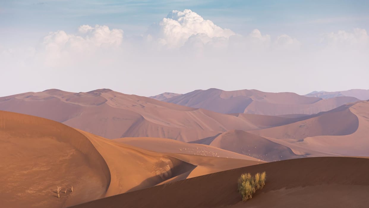 Indias Largest Desert Thar Turns Green Satellite Data Reveals Surprising Transformation