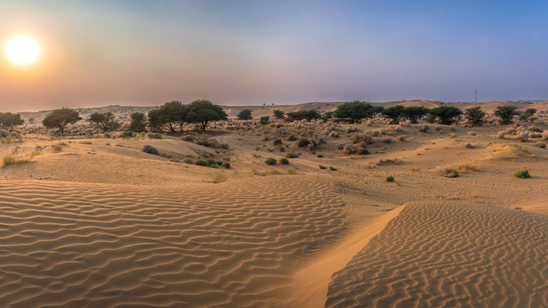 Indias Largest Desert Thar Turns Green Satellite Data Reveals Surprising Transformation