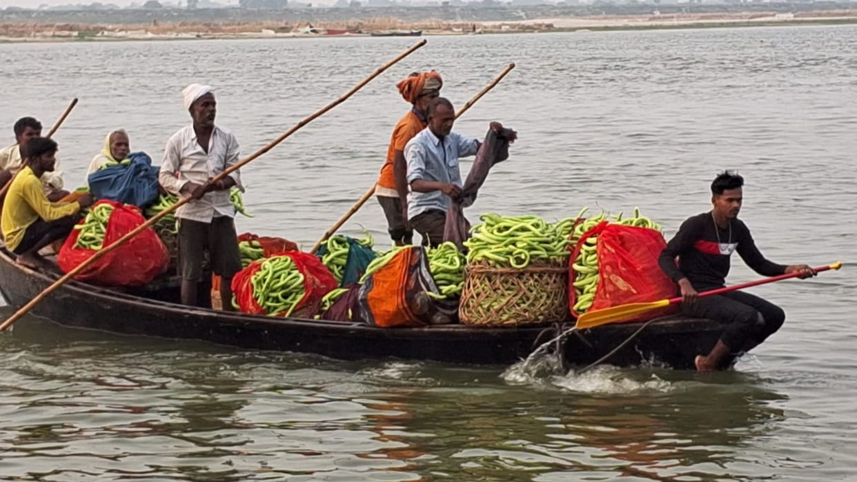 Farming sand of ghazipur making farmers rich knowing Cucumber watermelon