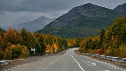 More than 150 trees will be cut down in and around Chilkiya in Ramnagar