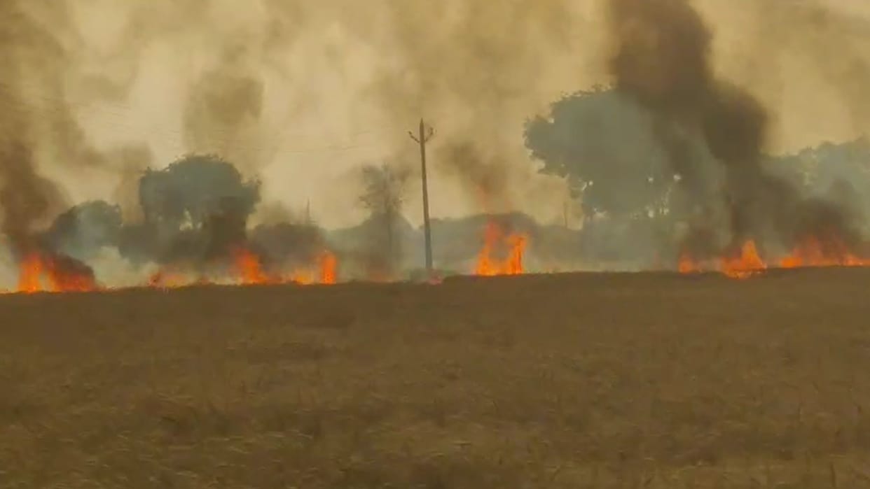 Spark came out from the electric wire fire broke out in the field chaos ensued