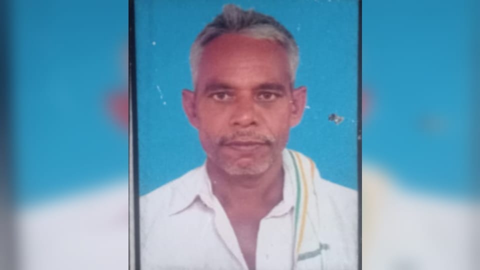 Bijnor: A farmer who went to harvest wheat died in a bee attack, four injured