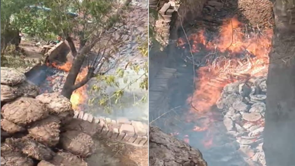 Painful: Elderly woman burnt alive in Meerut, set herself on fire after entering a hut