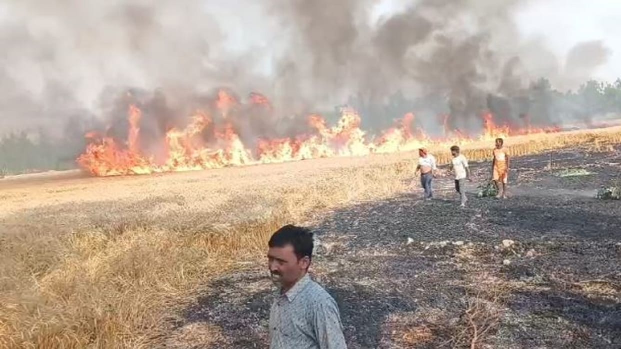 40 bigha wheat crop burnt to ashes due to fire in Bareilly