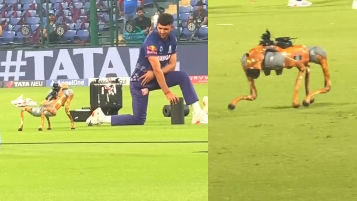 IPL Robo dog Champak did practice and stretching with the players video goes viral