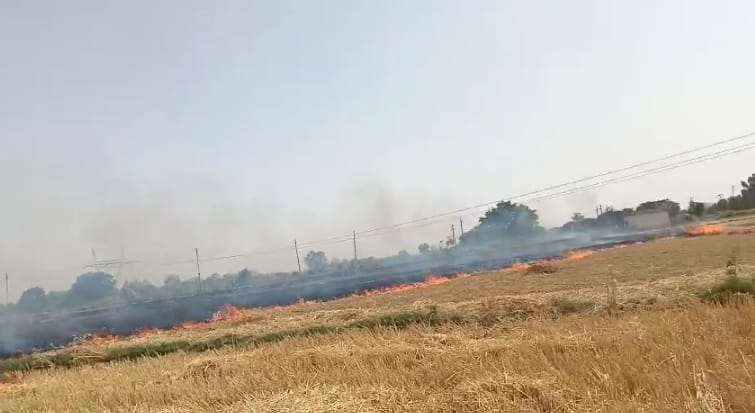 Kanpur Fire A spark from the straw machine caused a massive fire 20 bighas of wheat crop burnt to ashes