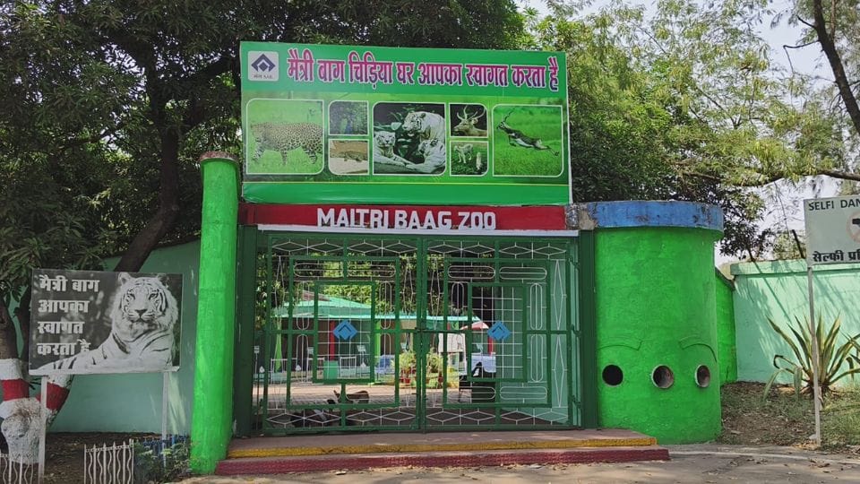 Special arrangements made to save wildlife from scorching heat in Maitri Bagh Zoo