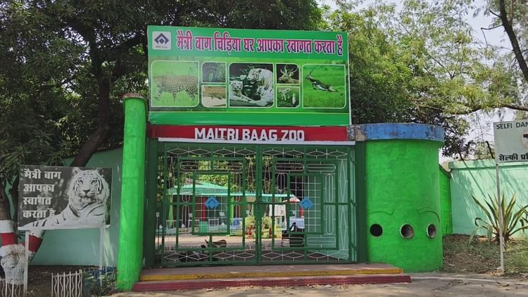 मैत्री बाग जू: भीषण गर्मी से वन्यजीवों को बचाने के लिए की जा रही पानी की बौछार, डाइट में भी किया गया बदलाव