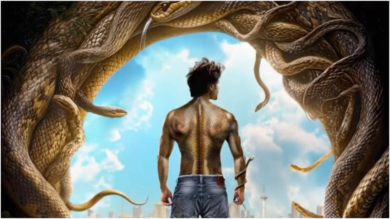 Bollywood Movies Based on Naag and Naagin Nagina Naagin Naagmani Hisss Jani Dushman Naagzilla