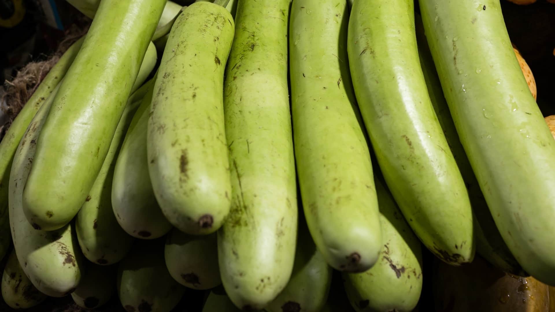 Healthy Lauki Snack Recipe For Kids in Hindi