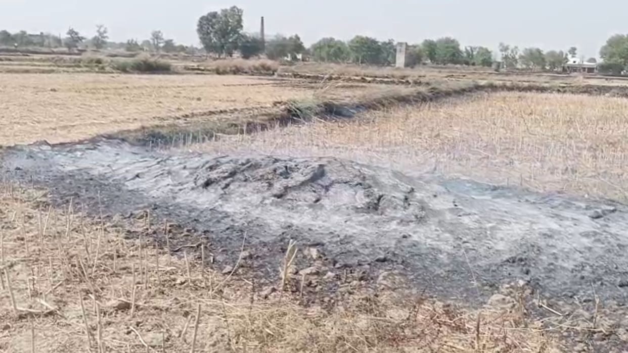 Two bighas of crops burnt to ashes due to fire fire brigade was late in reaching
