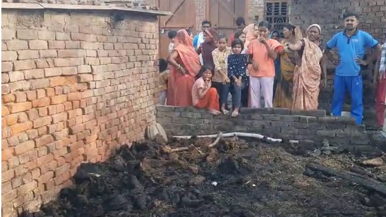Fire broke out in the shed bike burnt protected animals died due to scorching