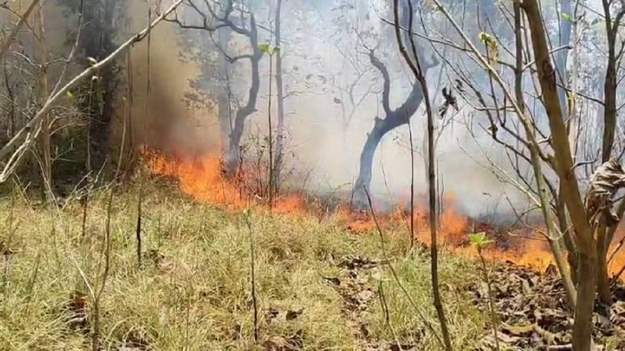 huge fire broke out in the forest of Khutar Range in Shahjahanpur