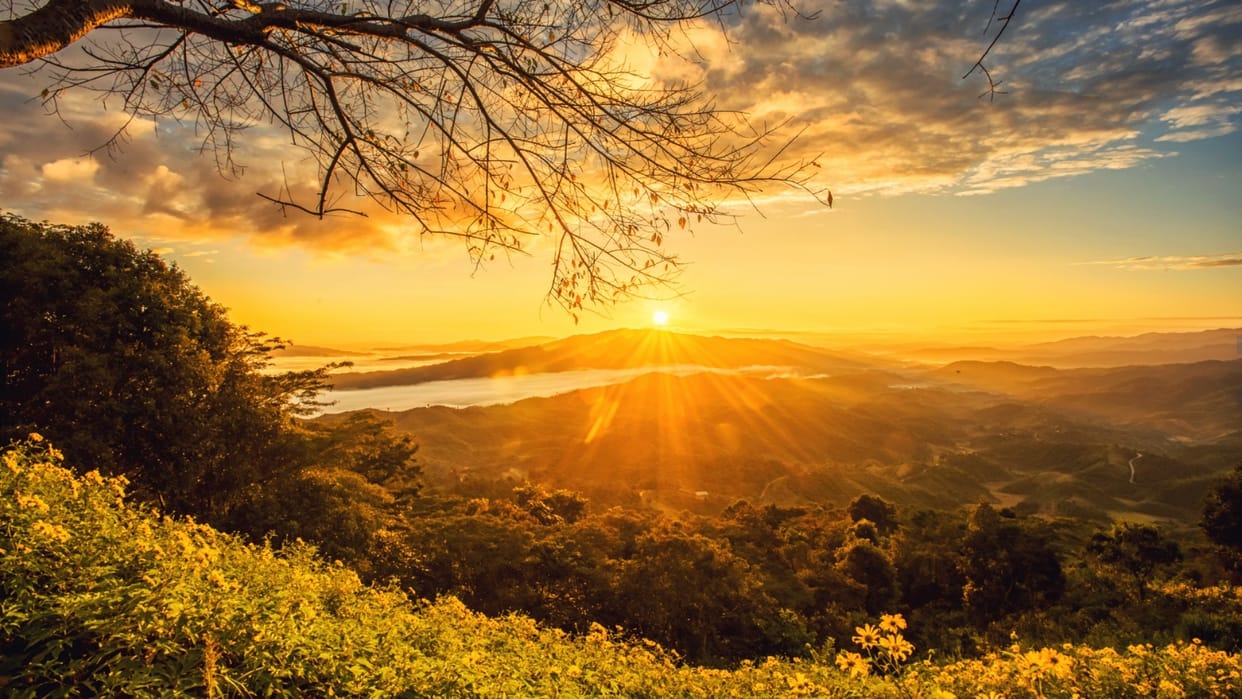 Morning Astro Tips know morning mantras for happiness