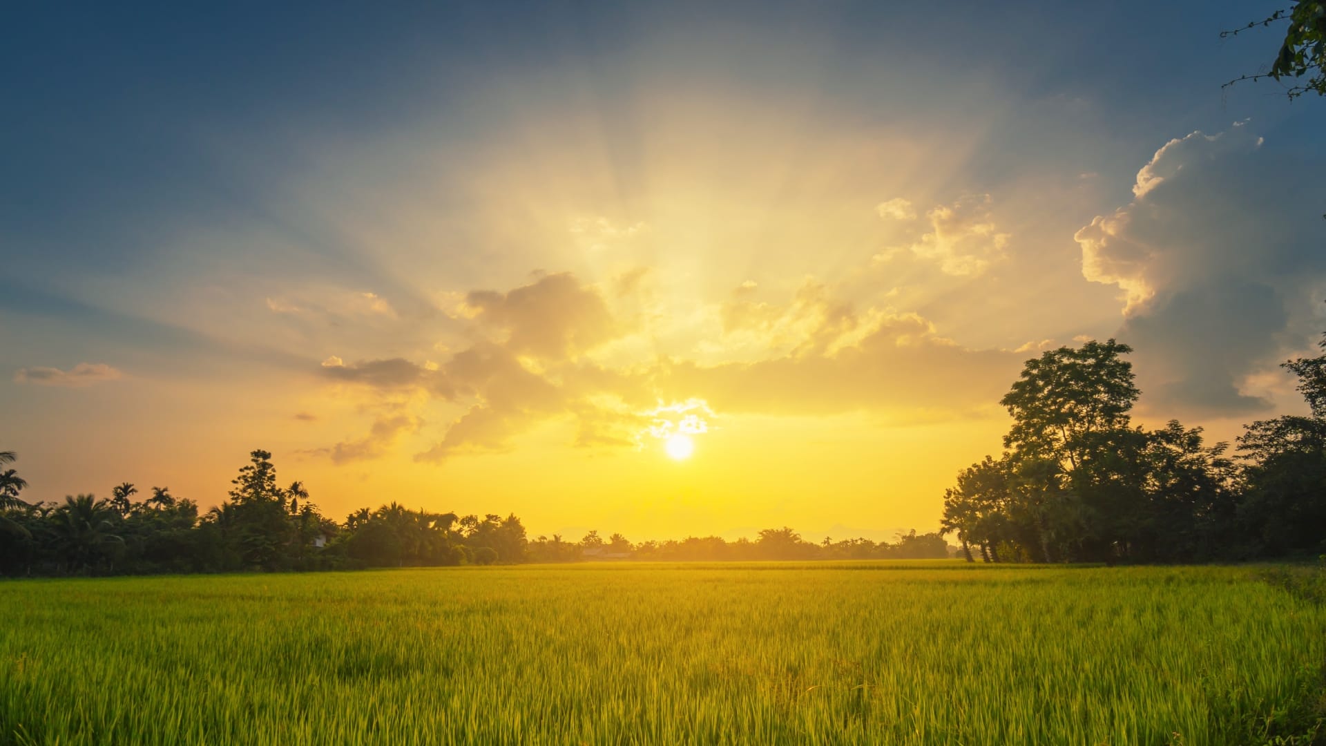Morning Astro Tips know morning mantras for happiness