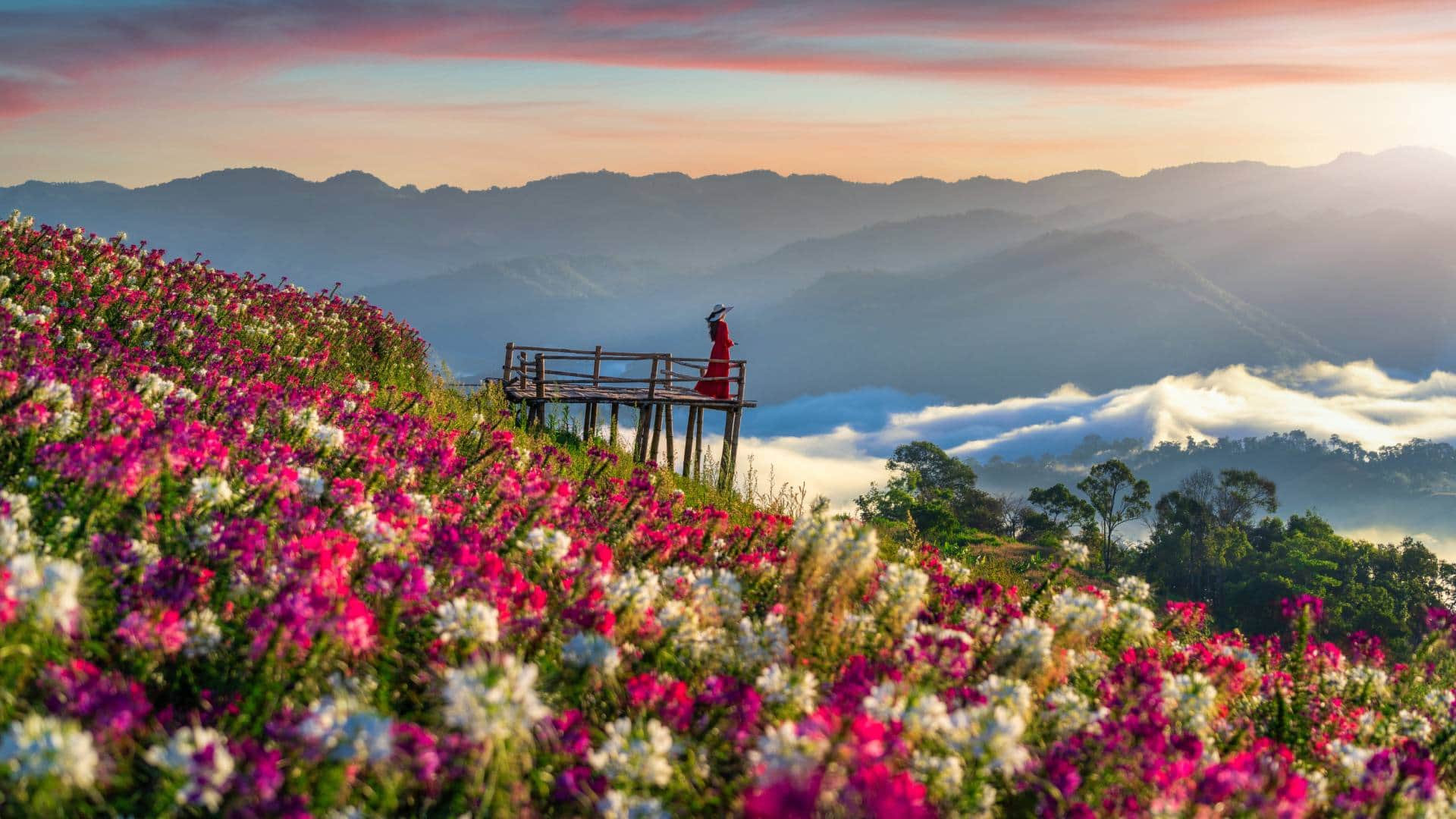 Pahalgam Attack Is Kashmir really the most beautiful place in the world Why is it called heaven on earth Know