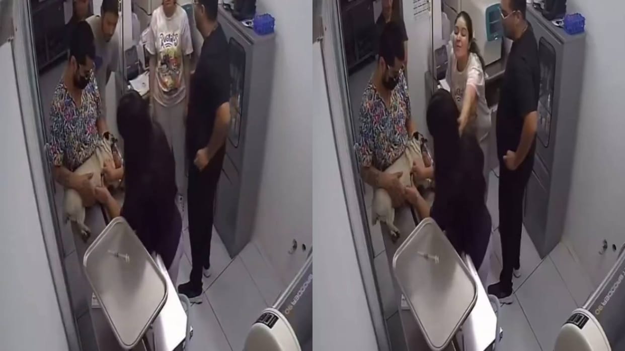 Woman could not bear the death of her pet dog beat up the doctor Video goes viral on Internet