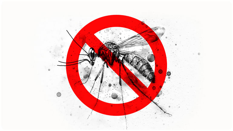 chikungunya outbreak in china more than 7,000 cases reported What are the symptoms and prevention