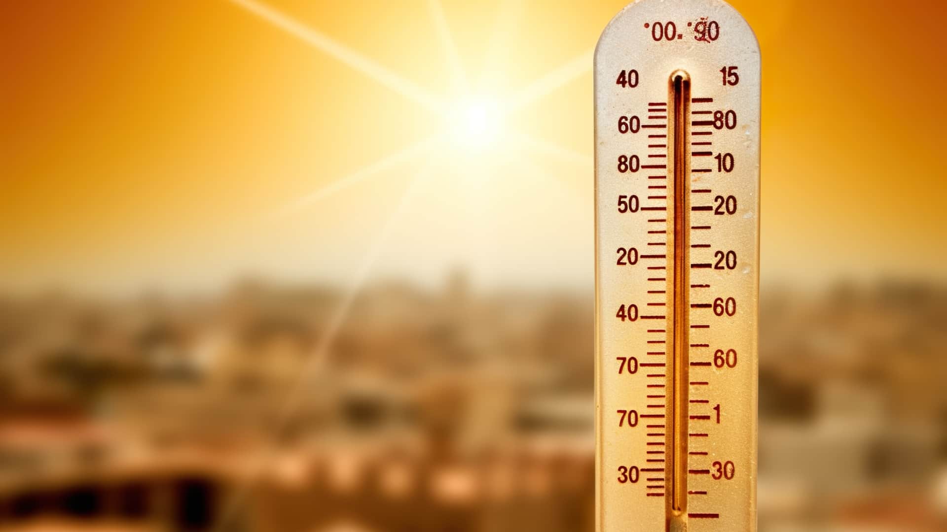 Nautapa 2026 Start Date What to Do and What Not During These 9 Days in hindi