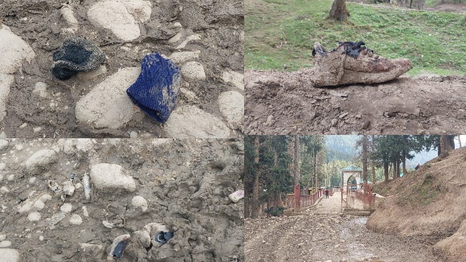 Pahalgam Terror Attack Israel Claims Direct Link Between Hamas and Pakistani Terrorists news in Hindi