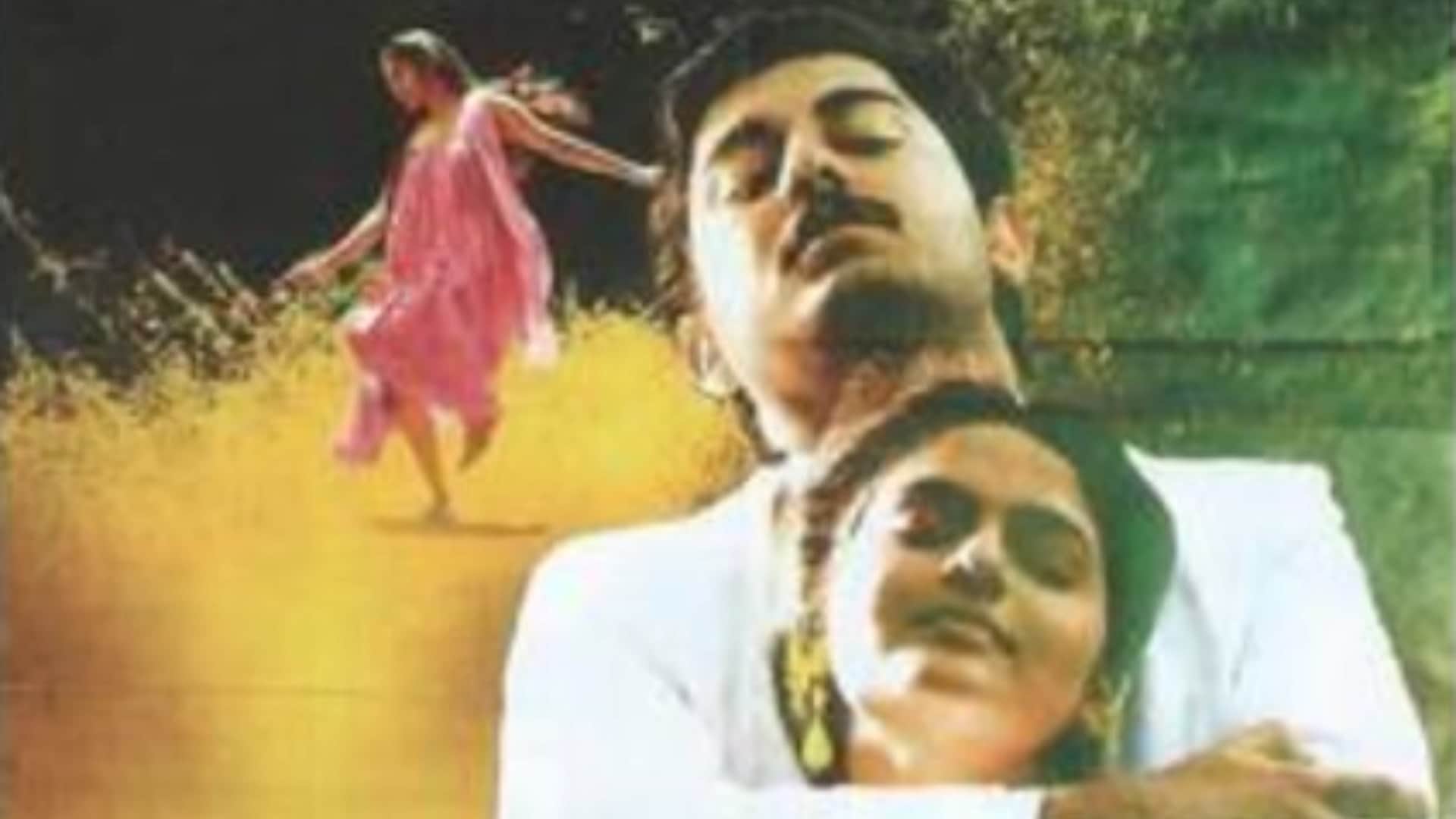 Bollywood Movies Based on Kashmir Ground Zero Hamid Mission Kashmir Roja Haider Shikara