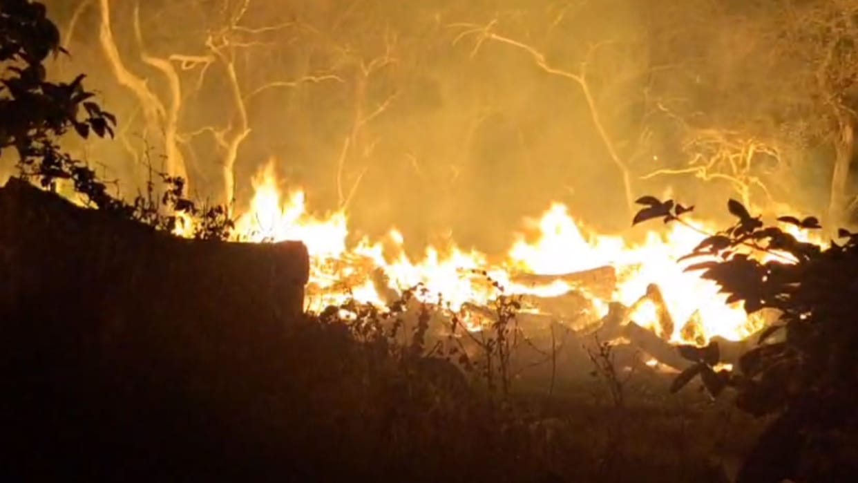 fire broke out in forest department dumping ground in Azamgarh