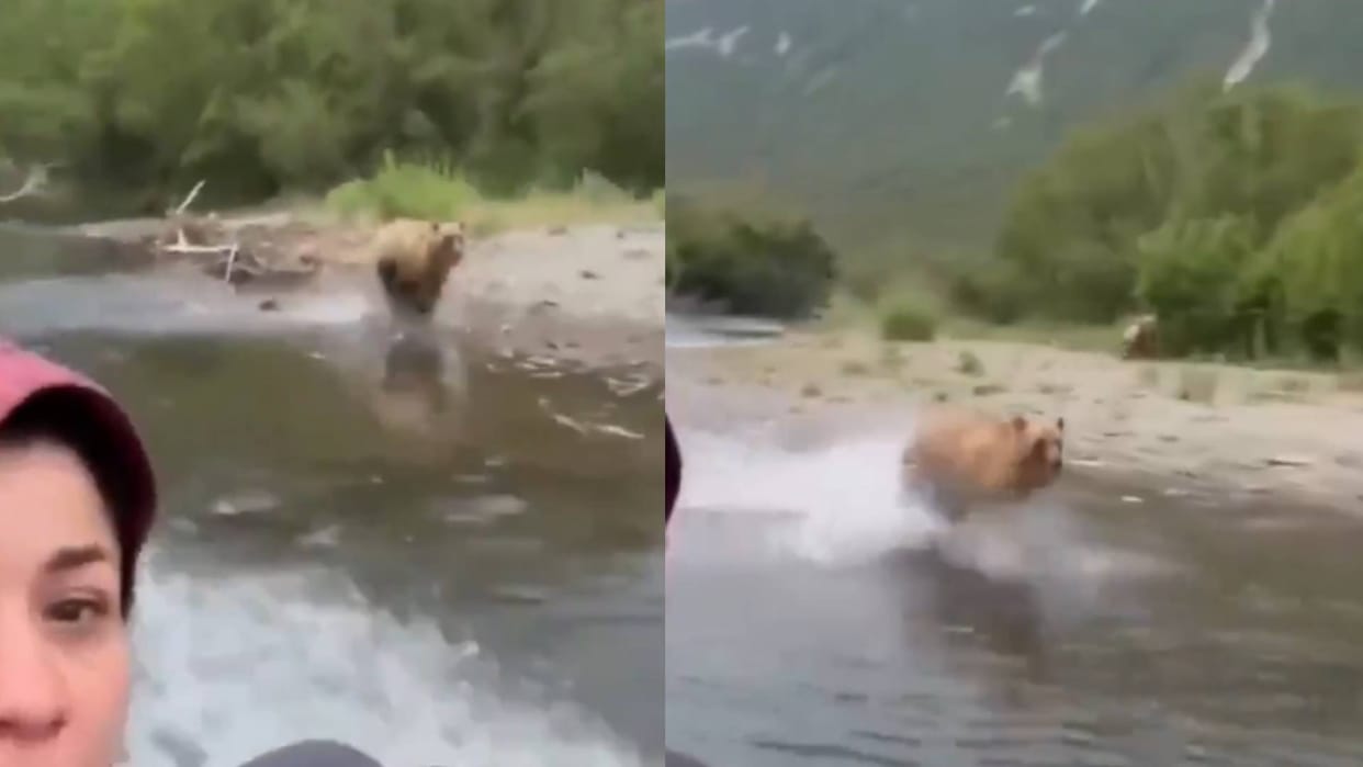A bear chases a tourist speed boat video goes viral