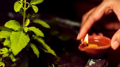 Tulsi Vivah 2025 Auspicious Date Time and Significance of Vishnu-Tulsi Wedding for Prosperity in hindi