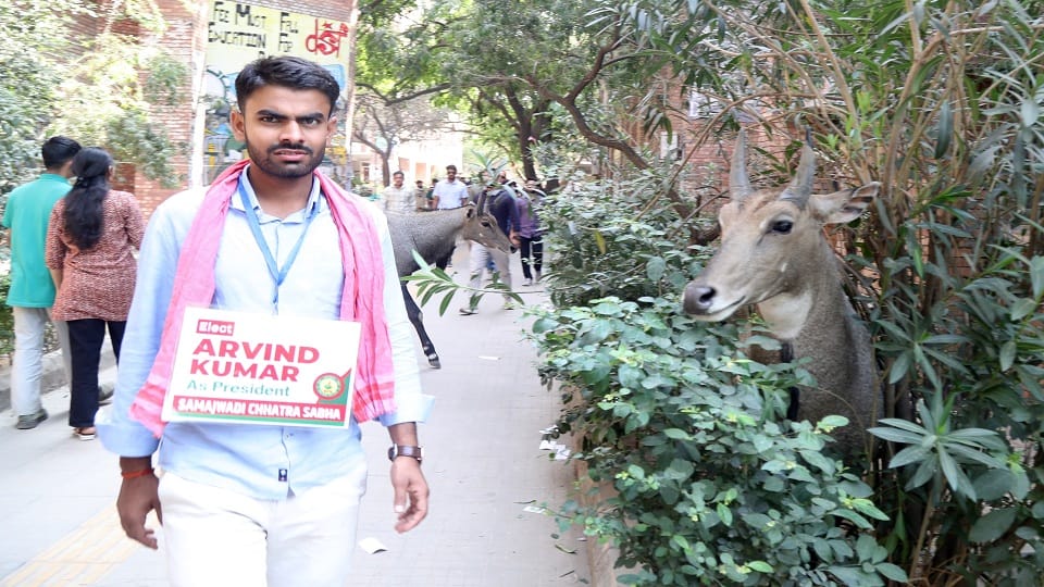 JNU student union elections: This time 70 percent voting took place