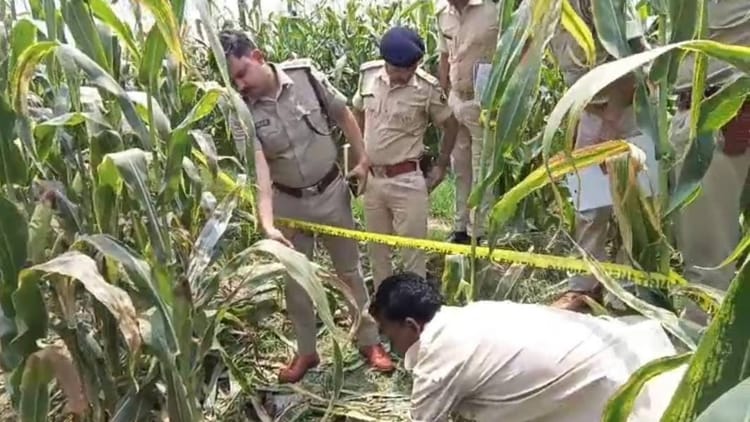 Bihar News: मकई के खेत में मिला 65 साल के व्यक्ति का शव, सिर पर चोट के निशान, हत्या की आशंका
