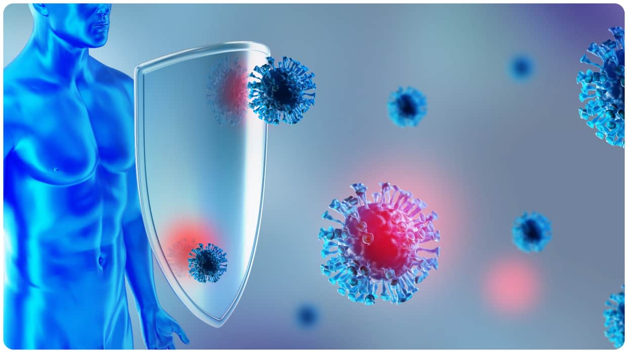 Is Your Immune System Strong Enough to Fight Serious Diseases Ways to Support Your Immune System
