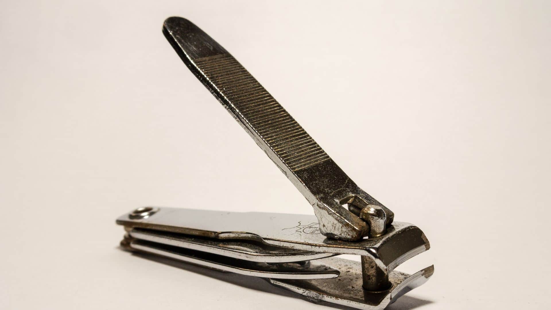 Republic Day Parade Rules Items Not to Carry in Bag Security Guidelines Delhi Police News in Hindi