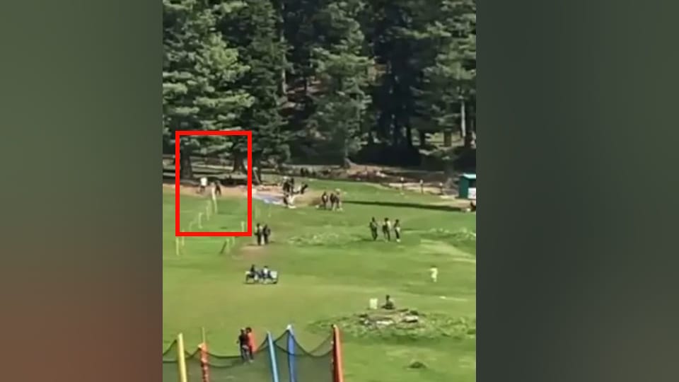 Pahalgam Terror Attack latest video of Pahalgam attack has surfaced terrorists are seen firing in video