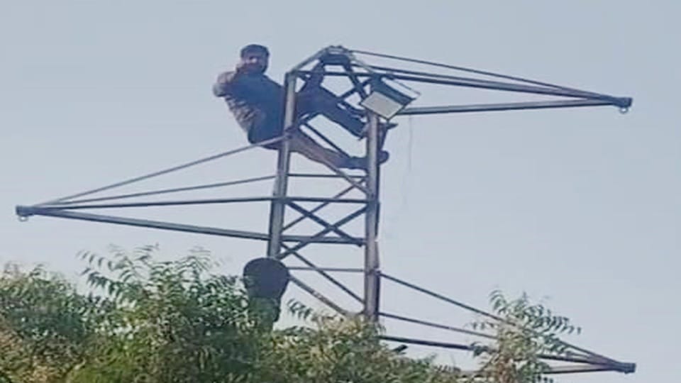 removed from duty, roadways conductor climbed the tower