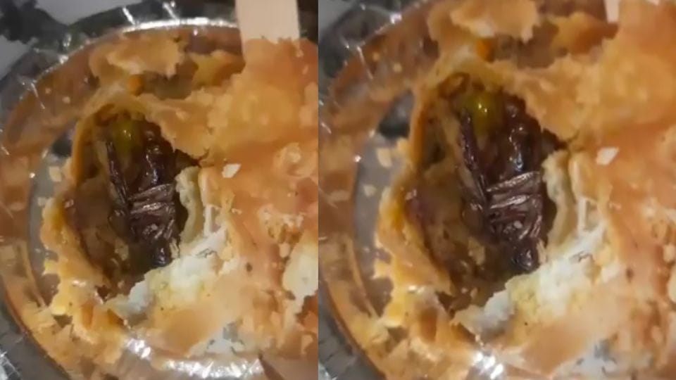 Cockroach found in samosa in Greater Noida