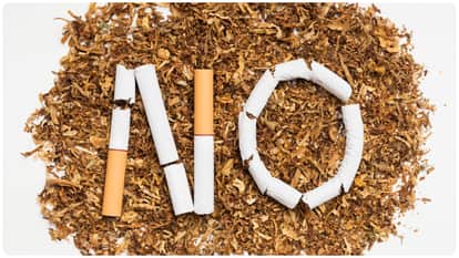 Educational Institutions Must Become Tobacco Free by May 30; hp Govt Issues Directives