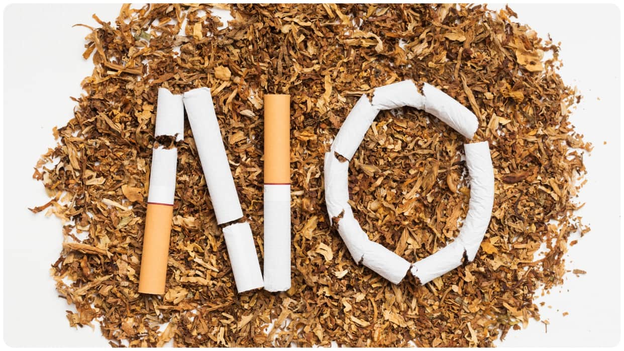world no tobacco day 2025 study says 90% of oral cancer cases in India are linked to tobacco consumption