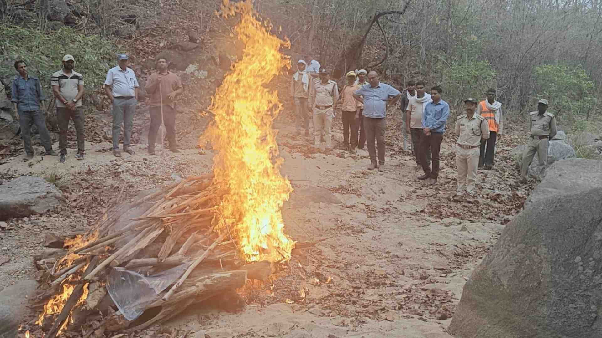 वन विभाग ने किया अंतिम संस्कार।