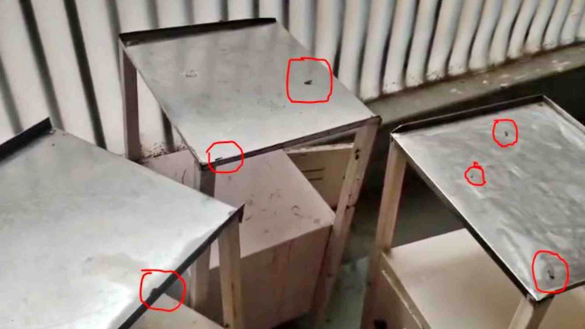 वार्ड में घूमते काकरोच।