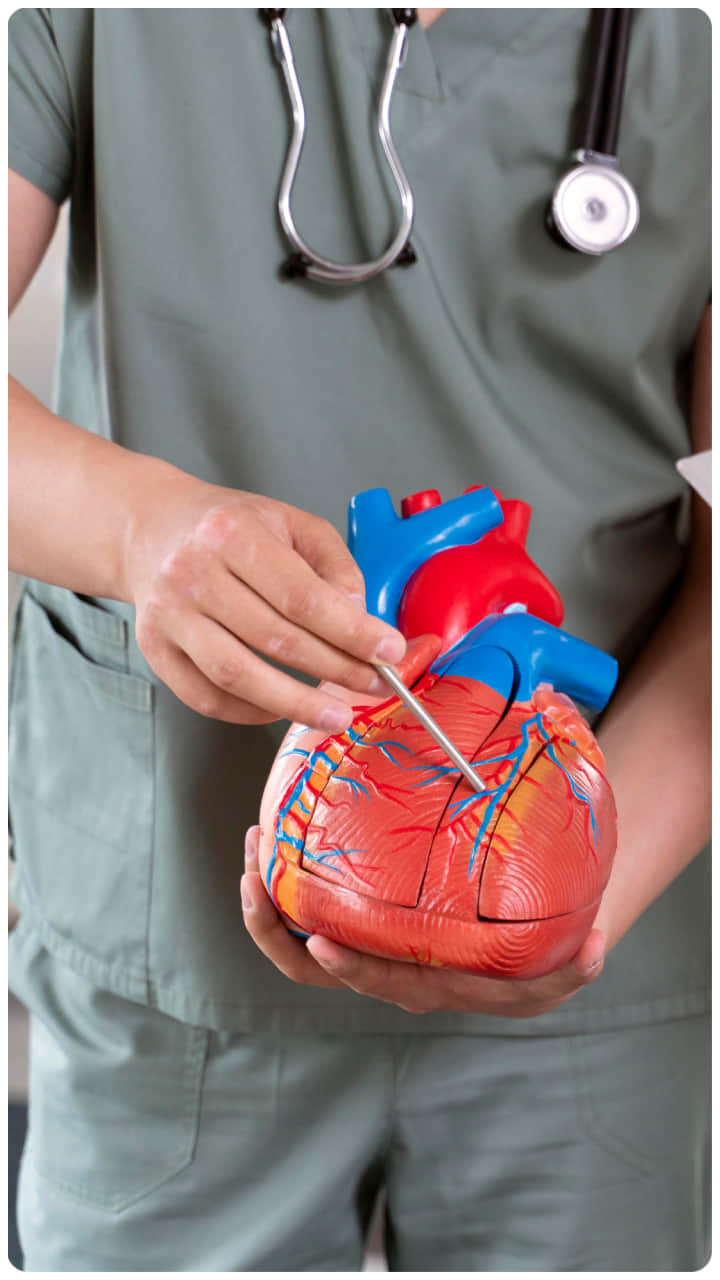 हार्ट, हार्ट अटैक