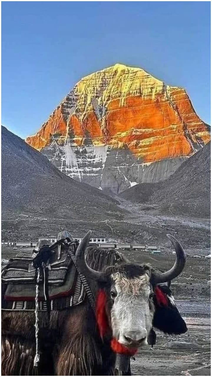 MEA ने जारी की एडवाइजरी, क्यों कहा- निजी टूर ऑपरेटरों पर भरोसा न करें तीर्थयात्री?