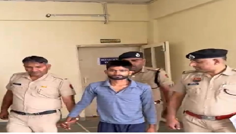 accused husband confessed he killed his wife in Panipat