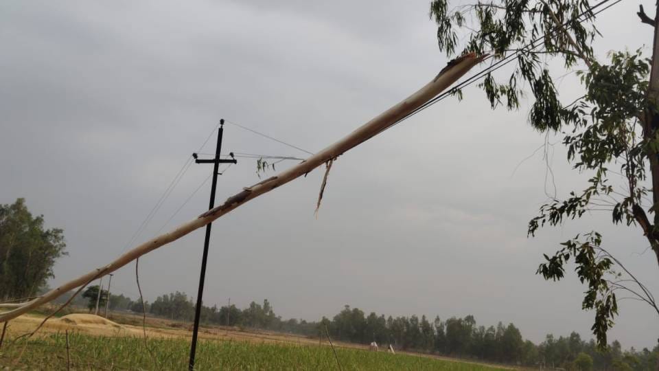 Amid heavy storm and drizzle in Ayodhya trees fell at many places teenager died due to lightning