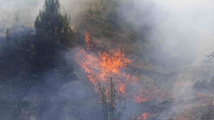 Rudraprayag: अज्ञात ने बीड़ी पीने के बाद पिरुल पर लगाई आग, धू-धूकर जला कुन्याली गांव के समीप जंगल